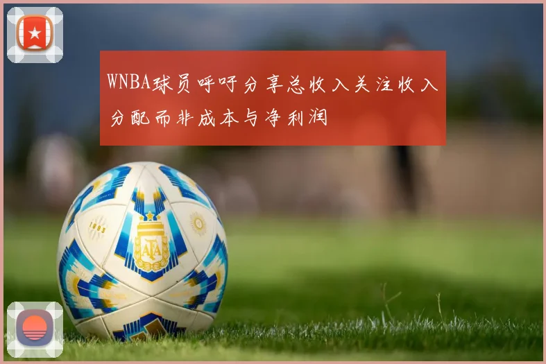 WNBA球员呼吁分享总收入关注收入分配而非成本与净利润