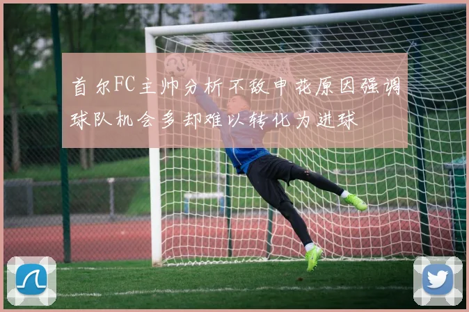 首尔FC主帅分析不敌申花原因强调球队机会多却难以转化为进球