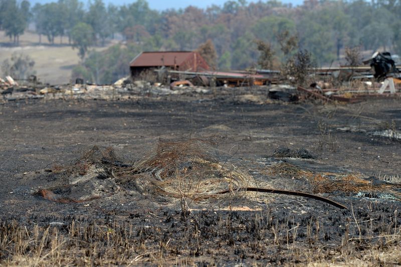 澳大利亚国内发生严重林火，多地被烧毁